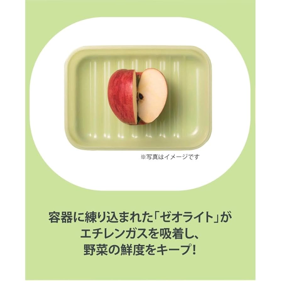 Kkco ケーコ　ベスト Kkco ケーコ ベスト Accessories & Objects – Page 2 – KkCo